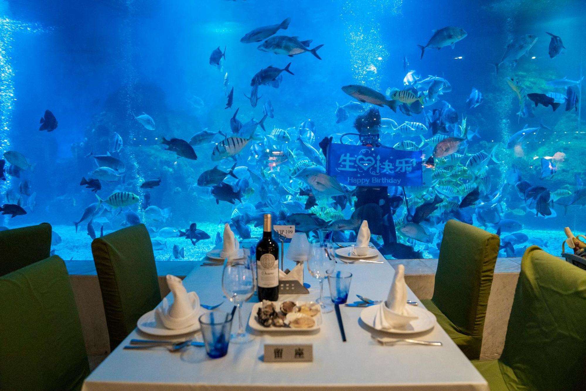 Palace Resort Yalong Bay Sanya Bagian luar foto